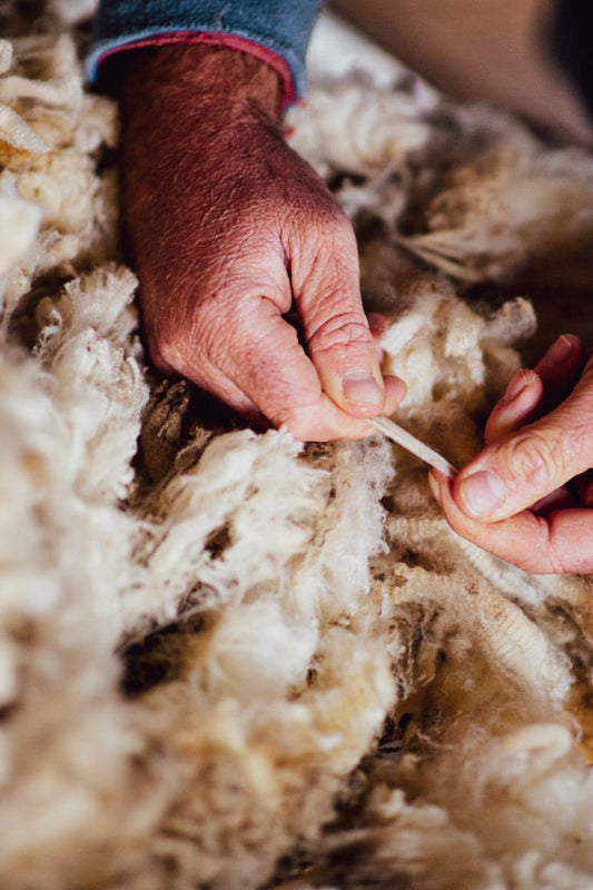 Cashmere Artesanal — Entre Fibras e Silêncios